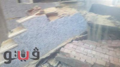 إزالة ٢٦ حالة تعد على الأراضي  في الغربية | صور