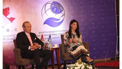 3 مبادئ تعتمد عليها وزارة التعاون الدولي في تعزيز الدبلوماسية الاقتصادية