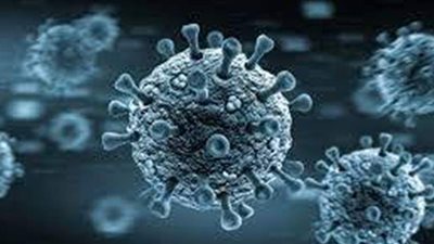 ٥ شروط للمشاركة في التجارب السريرية للقاح فيروس كورونا الجديد في مصر