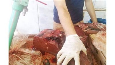 ضبط كميات من الأسماك والمجمدات غير صالحة للاستهلاك الآدمي في حملة بالوادي الجديد