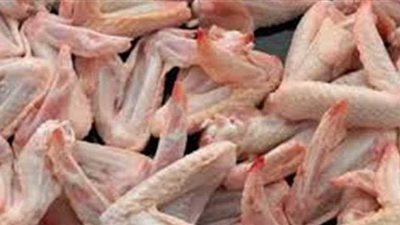 مصادرة 5 أطنان هياكل دواجن فاسدة في القليوبية