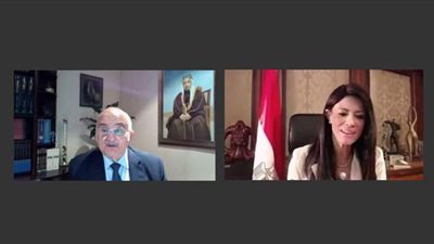 المشاط تدعو لتشكيل نموذج اقتصادي واجتماعي جديد