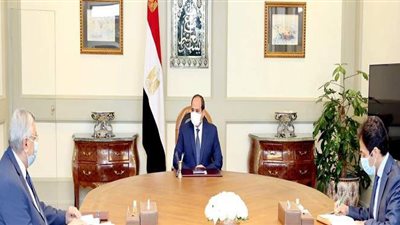السيسي يوجه باستخلاص الدروس المستفادة من تجربة مصر  في مكافحة كورونا