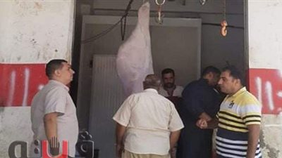 ضبط 3 جزارين بتهمة الذبح خارج السلخانة بالشرقية