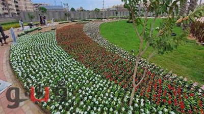 محافظ بورسعيد: افتتاح الحديقة الدولية بالضواحي قريبا | صور