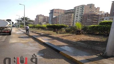 حملة لرفع المخلفات وتقليم الأشجار بأحياء مدينة المحلة الكبرى | صور