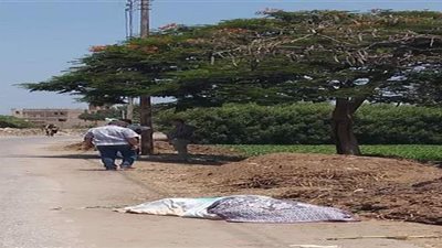 «جثة على الطريق».. تفاصيل مقتل مسجل سرقة على يد والده بالشرقية