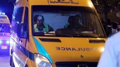 شرعوا في قتل والده.. تجديد حبس مواطن وزوجته بالشرقية 15 يوما