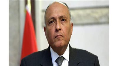 مصر تعلن دعمها لإجراءات تحالف دعم الشرعية باليمن ضد ميليشيا 