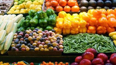 خريطة صادرات  الحاصلات الزراعية  المصرية في 11 شهرا