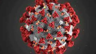 الصحة العالمية: نتوقع ارتفاع وفيات كورونا في الشهرين المقبلين