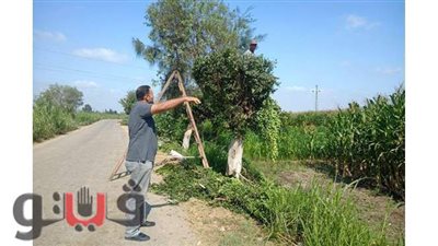 حملات نظافة وتجميل ورفع تراكمات القمامة بكفرالشيخ | صور