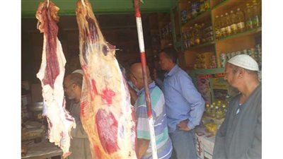 الداودي:  توزيع عجول مذبوحة على منافذ بيع بقنا | صور