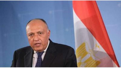 وزير الخارجية يبحث مع نظيره الروسي  التطورات الإقليمية والعلاقات الثنائية