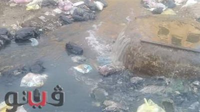 على بعد خطوات من الزقازيق.. قرية بنايوس تغرق فى المجارى