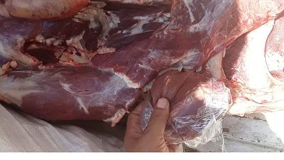 تحرير 200 قضية  بإدارة المجازر والتفتيش عن اللحوم في البحيرة