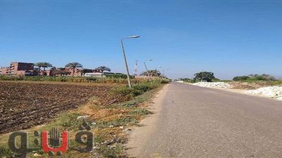 عمود كهرباء يتسبب في إحالة رئيس وحدة محلية للتحقيق بالشرقية |  صور