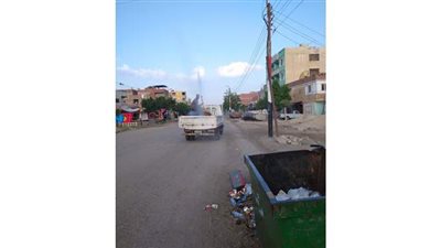 حملة لمكافحة الحشرات بالقنطرة شرق  بالاسماعيلية | صور