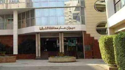 بتكلفة 348 مليون جنيه.. الشرقية تعلن الانتهاء من  تنفيذ 10 مشروعات تنموية