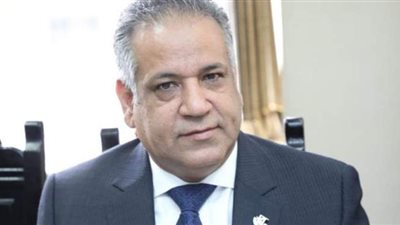 رئيس جمعية رجال الأعمال المصريين الأفارقة: يجب انتهاج ثقافة التسويق والتصدير