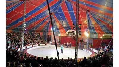 تعرف على برنامج وعروض السيرك القومي بالعجوزة | صور