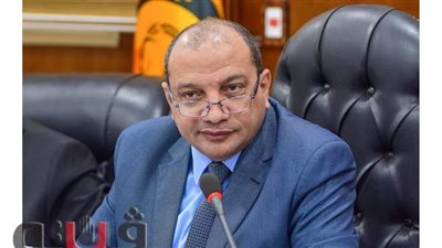 تجديد تعيين «شلبية» عميدًا لكلية الملاحة وتكنولوجيا الفضاء ببني سويف