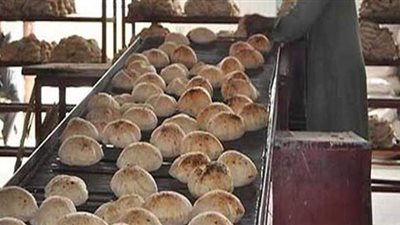 حملات تموينية على المخابز  وإحالة 27 محضرا للنيابة العامة في الدقهلية