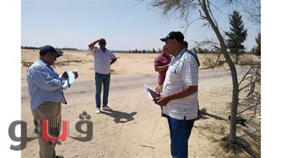 استمرار أعمال لجان تقنين وضع اليد بشرق البحيرات في الإسماعيلية| صور