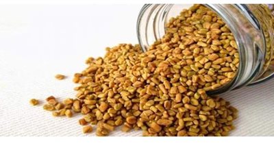 فوائد الحلبة والطرق الصحيحة لتحضيرها