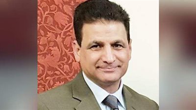 الجالية المصرية  بالنمسا تدعم الرئيس وترفض دعوات الإخوان  التخريبية