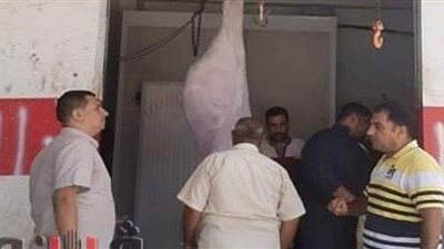 تحرير محاضر لـ 4 جزارين في حملة  لـ«تموين الشرقية