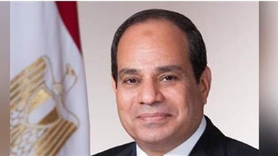 عضو قومى المرأة: السيسى يشجع المرأة العاملة.. ويهتم بكل تفصيلة تخص الأسرة المصرية