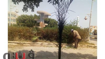 حملات لتجميل وتطوير الشوارع والميادين بسفاجا | صور