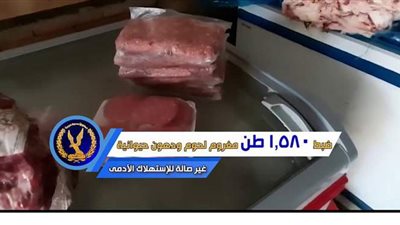 مصادرة  40 طن كبدة فاسدة و5 أطنان دهون حيوانية محظورة قبل بيعها للمواطنين | فيديو