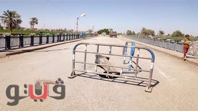 غلق جزئي لشارع ابن سينا بالجيزة لمدة يومين بسبب كابل كهرباء