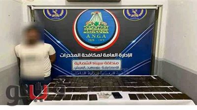 ضبط ٣٨٥ طربة حشيش بالإسماعيلية