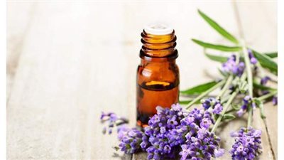 4 فوائد طبية وتجميلية مذهلة لعشبة 