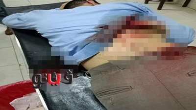 القبض علي باقي المتهمين في واقعة الاعتداء على محام بالشرقية | صور