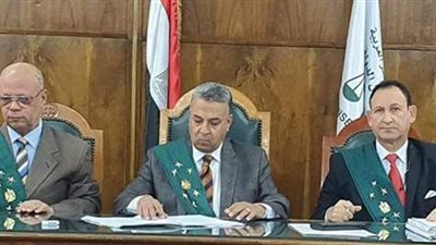 حيثيات حكم عزل 3 أساتذة بجامعة عين شمس: تحولوا إلى مقاولي تعليم