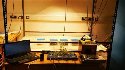 أول ثمار  التعاون البحثي بين جامعتي بنها وبريستول الإنجليزية