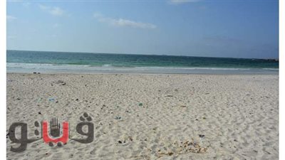 حملات لإخلاء شواطئ العجمي في الإسكندرية | صور