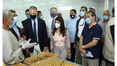 السفير الأمريكي: واشنطن وفرت أكثر من مليار دولار لتطوير الإنتاجية الزراعية في مصر