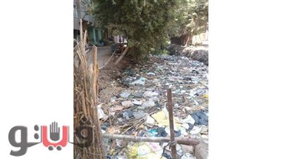 أهالي شنوان يستغيثون بمحافظ المنوفية: 