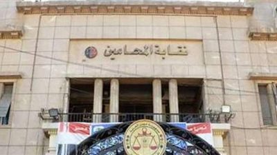 القضاء الإداري يقضي ببطلان تشكيل هيئة مكتب نقابة المحامين