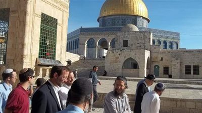 اقتحام مستوطنين باحات الأقصى في حماية قوات الاحتلال | فيديو