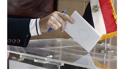 اللجنة المشرفة على انتخابات النواب بالوادي الجديد تتلقى أوراق 14 مرشحا