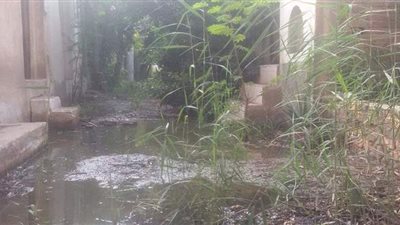 مقابر المنشأة الكبرى تسبح في بركة مياه بالغربية