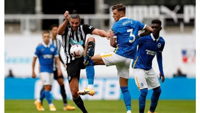 برايتون يضرب نيوكاسل بثلاثية في الدوري الإنجليزي