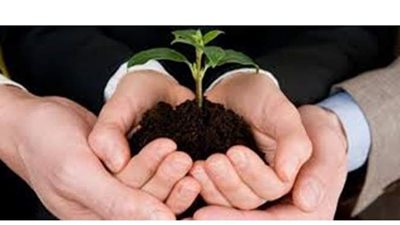 المصري للتأمين يرصد آليات استخدام الهاتف المحمول في التأمين الزراعي