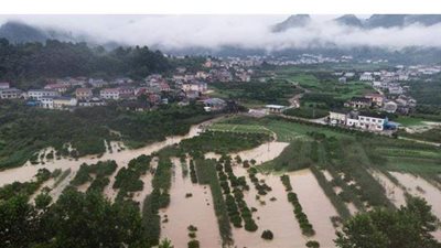 تعرف على الأخطار المغطاة بوثيقة التأمين الزراعى